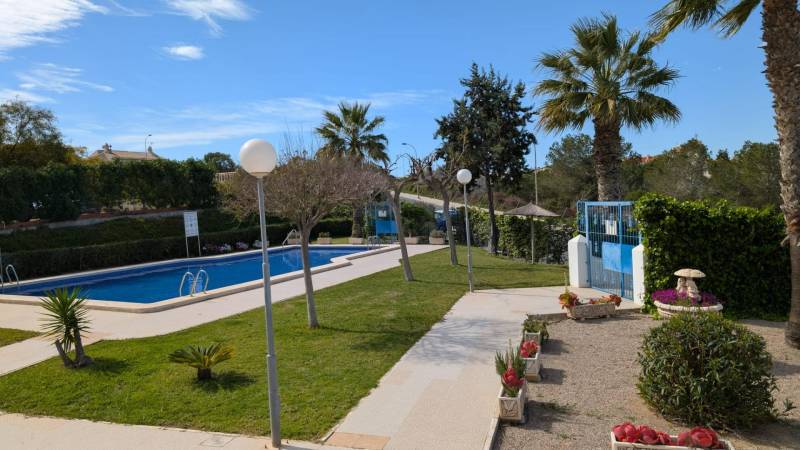 A pool with palm trees and greenery in the area of Aquiles Street, Torrevieja.