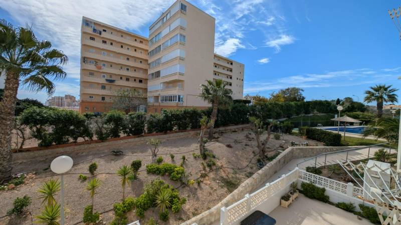 Building with apartments, a swimming pool, and greenery in Torrevieja on cl. Aquiles street.