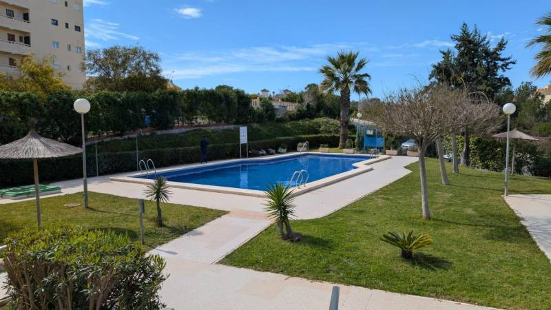 A pool surrounded by greenery and palm trees on Aquiles Street in Torrevieja.