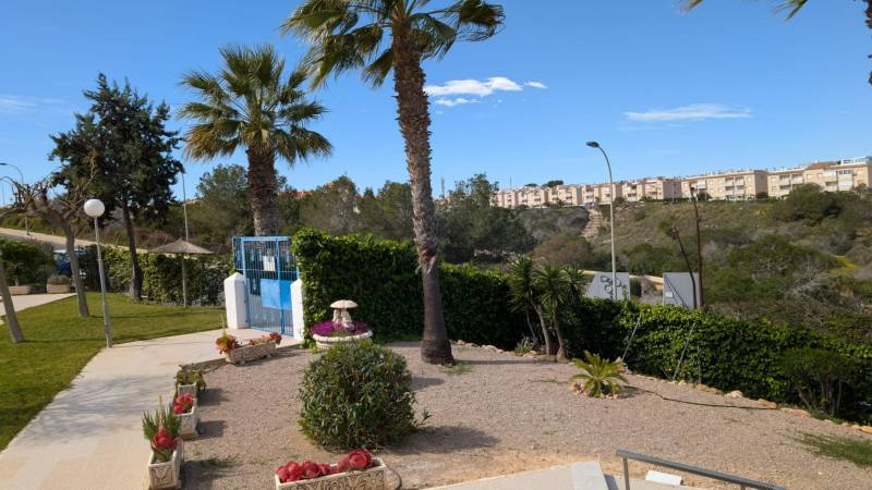 A park with palm trees and greenery in Torrevieja on cl. Aquiles street, studio apartment.