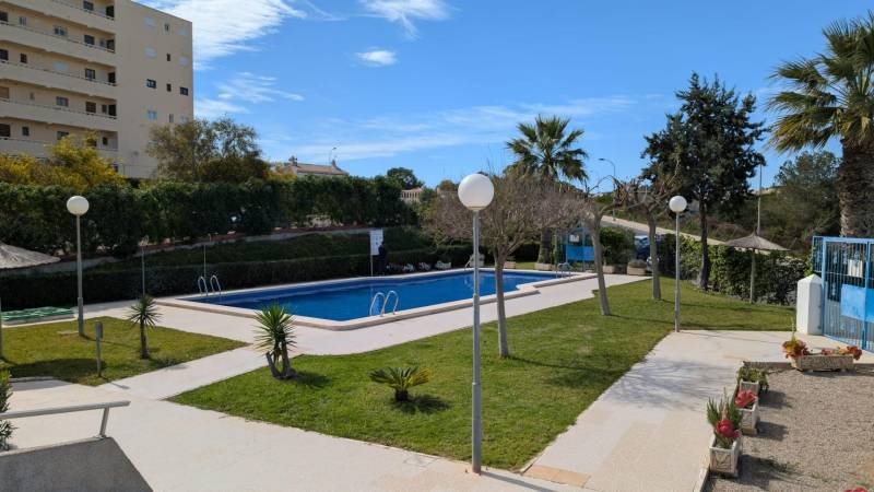 A pool with palm trees and greenery on Aquiles Street in Torrevieja, suitable for studio apartment residents.