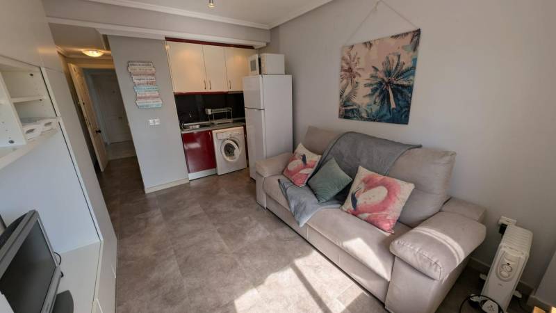 Studio apartment with a sofa, kitchenette, washing machine, and a decorative painting.