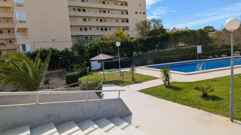 The pool and garden in front of the apartment complex on Aquiles Street in Torrevieja.