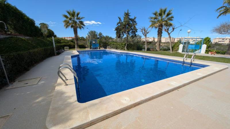 A pool surrounded by palm trees in Torrevieja on cl. Aquiles street offers a pleasant refreshment.