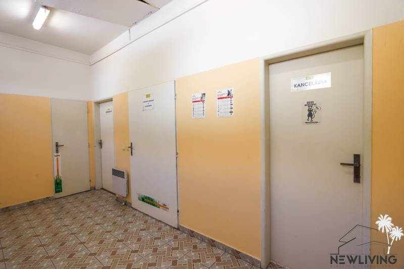 Hallway with doors in commercial premises, light walls and tiled floor.