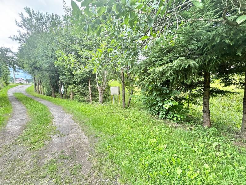 A path surrounded by greenery near a family house on Centrum Street in Makov.