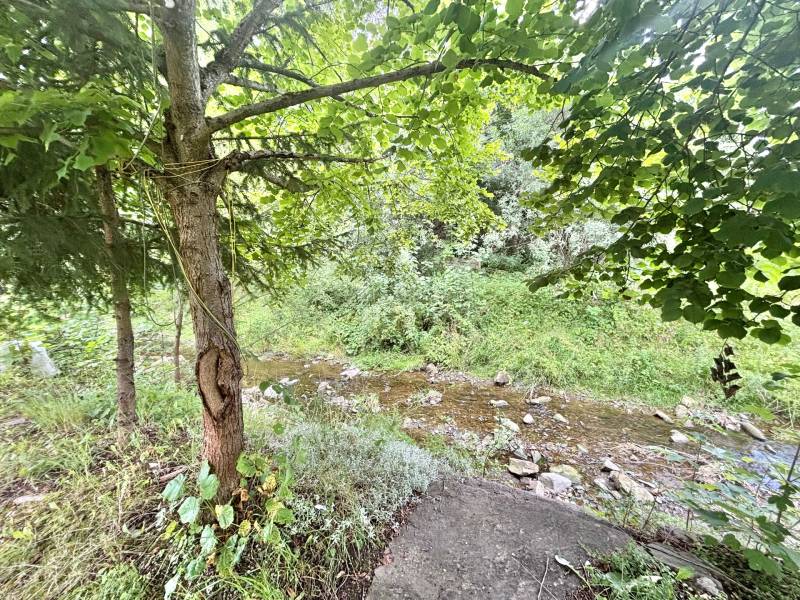 A stream surrounded by lush vegetation, trees, and rocks in nature near Makov.
