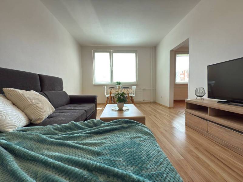 Bright living room in a 4-room apartment with a sofa, blanket, and television.