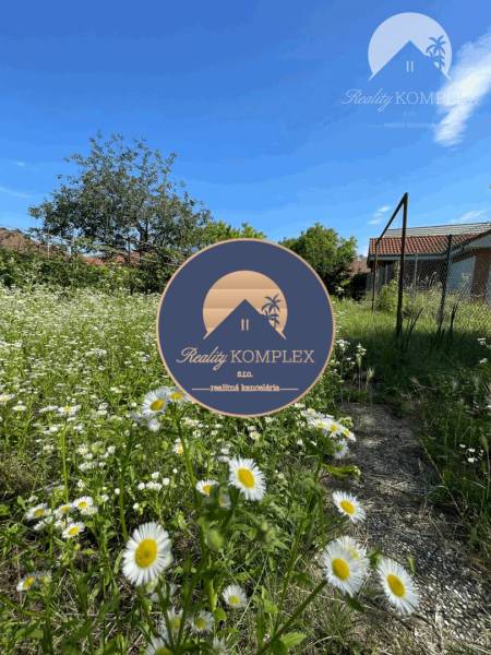 A flower meadow with a blue sky on Veľkoblahovská Street in Dunajská Streda.