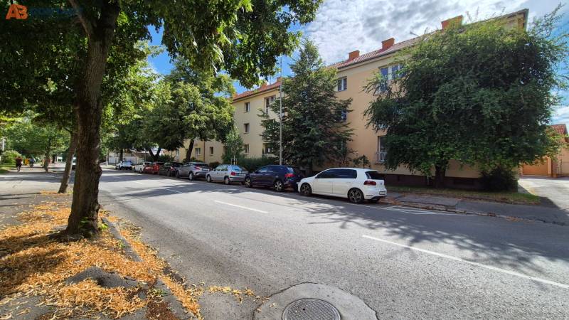 Under Párovce in Piešťany, there are trees lining the road by the three-story apartment buildings.