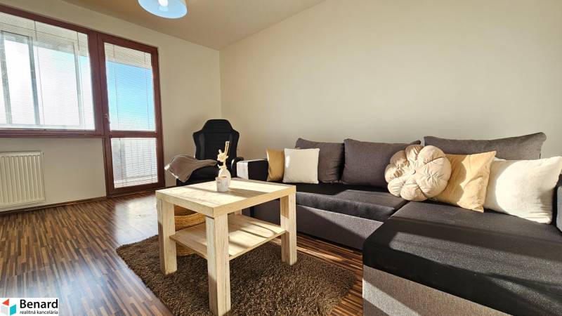 Living room in a one-bedroom apartment with a comfortable sofa, a table, and large windows.