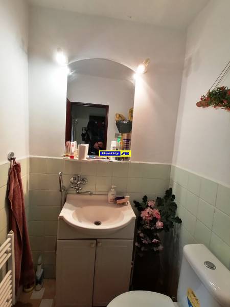 A bathroom in a family house with a sink, mirror, lighting, and decorative flowers.
