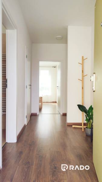 A hallway with a wooden floor, a clothing rack, and a plant in a 2-room apartment.