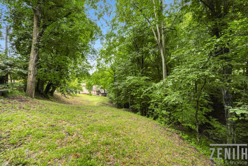 Forest scenery in Brezová pod Bradlom on Dzurákovci Street with a partially visible family house.