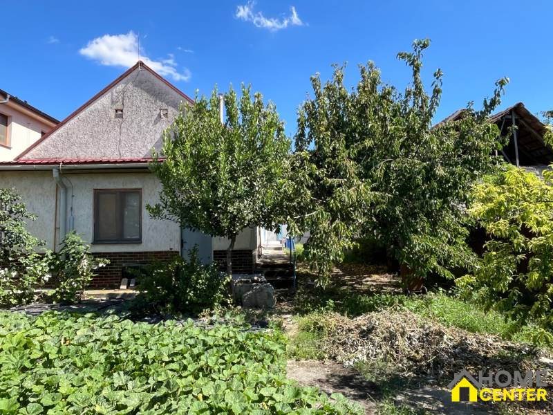 A family house in Kolárovo with fruit trees in the garden under a blue sky.