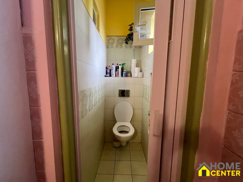 Bathroom in a family house with a toilet and a shelf with cleaning products.