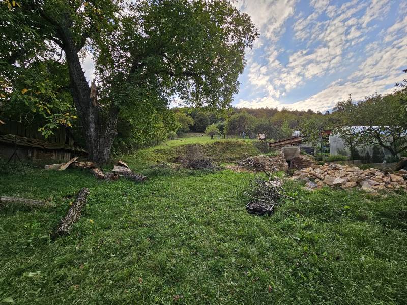 A spacious garden of a family house in Nitrianske Sučany with trees and stones.