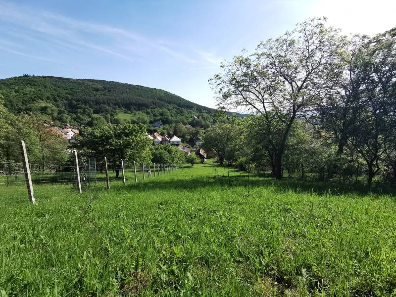 The family house in Nitrianske Sučany offers a view of nature and a hilly backdrop.