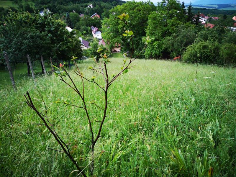 Nature in Nitrianske Sučany, family houses amidst greenery and hills on Nitrianske Sučany street.