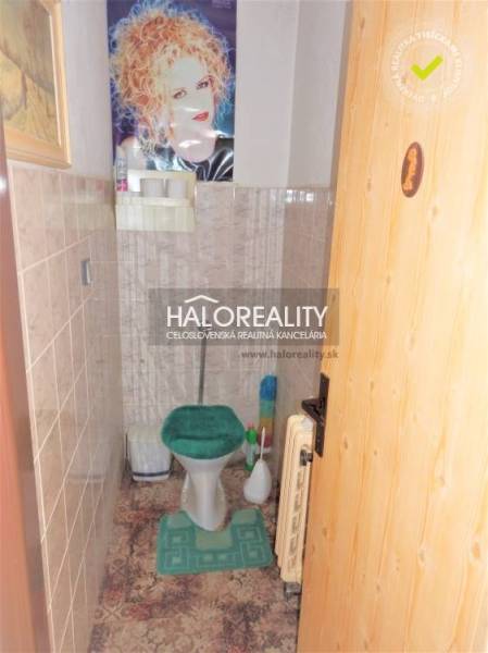 Bathroom in a family house with a toilet and a green seat.