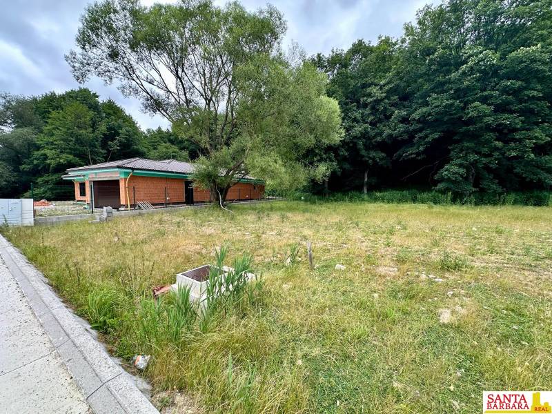 A house with land in Borinka surrounded by greenery and a quiet environment.