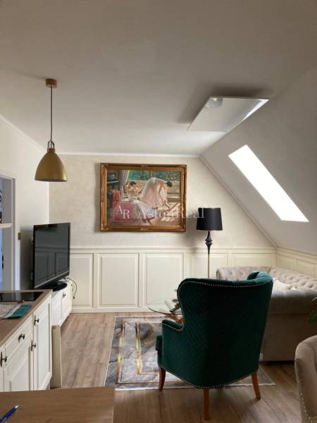 Living room in a 2-room apartment with a skylight, a painting, and comfortable armchairs.