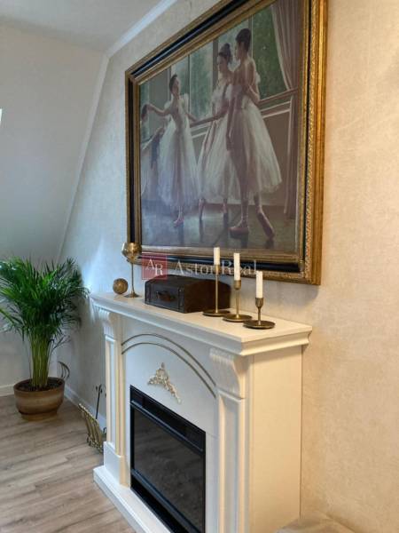 A fireplace with a painting of ballerinas adorns the interior of the 2-room apartment, the plant adds a natural element.