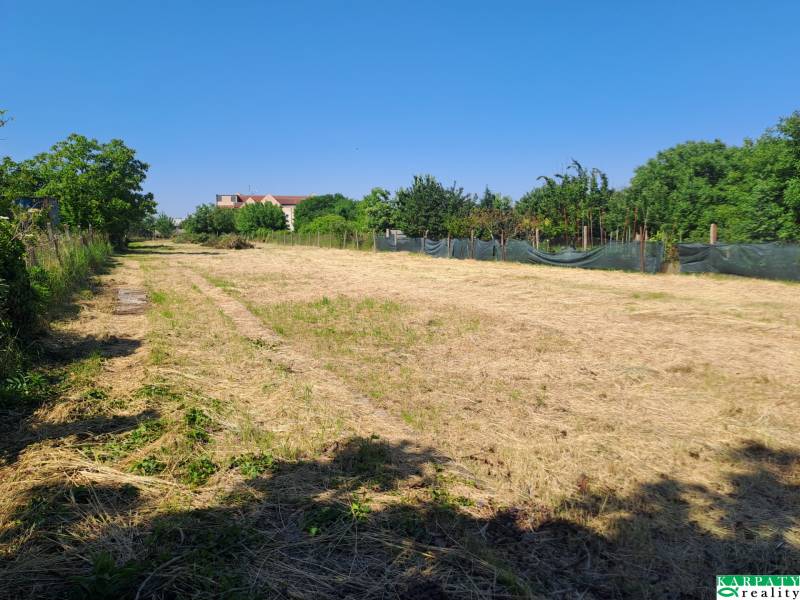 The area of commercial land surrounded by greenery in Sládkovičovo on Sládkovičovo Street.