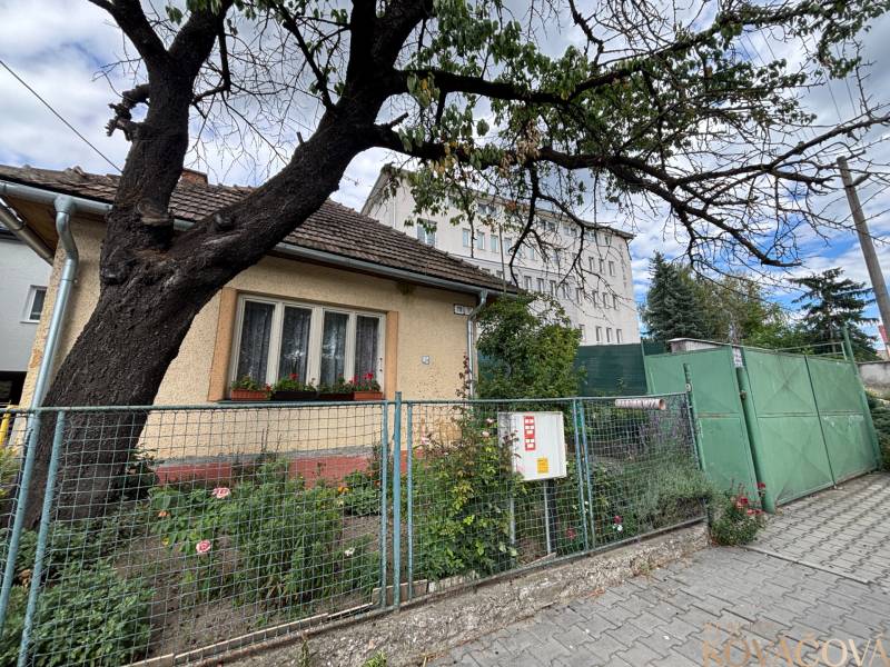 A family house in Ilava with a front garden and a large tree by the walkway.