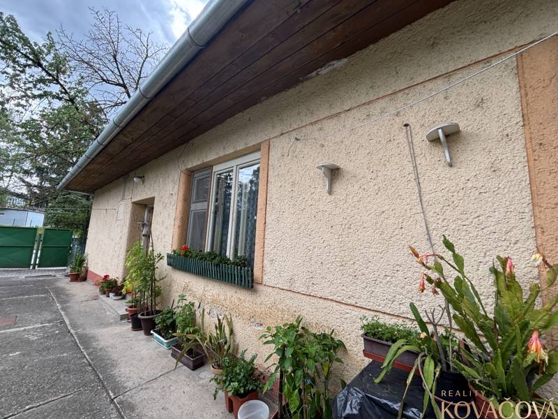 A family house in Ilava with floral decorations and a green gate in the yard.