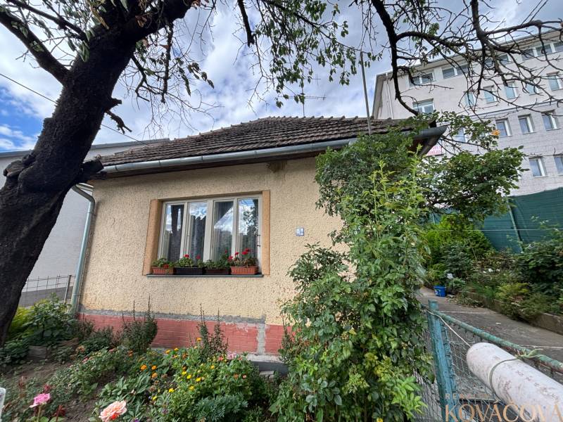 A family house in Ilava with a landscaped garden and flowers under the window.