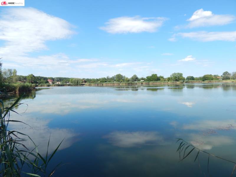The lake near Klížska Nemá surrounded by trees and reeds with a calm sky.