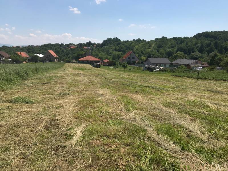 Plots - housing in Trenčianske Jastrabie, mowed meadow surrounded by houses and greenery.