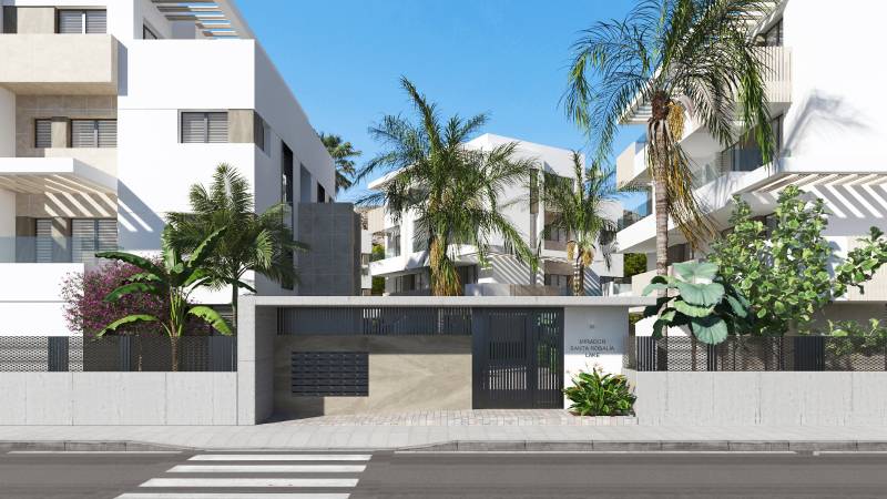 Exterior with palm trees on Santa Rosalia Lake Street in Torre Pacheco, 3-bedroom apartments.