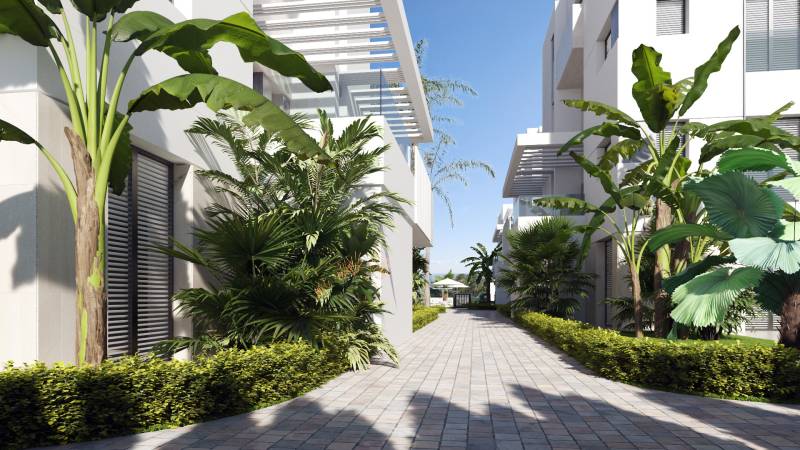 Palms and greenery line the road between buildings at SANTA ROSALIA LAKE in TORRE PACHECO.