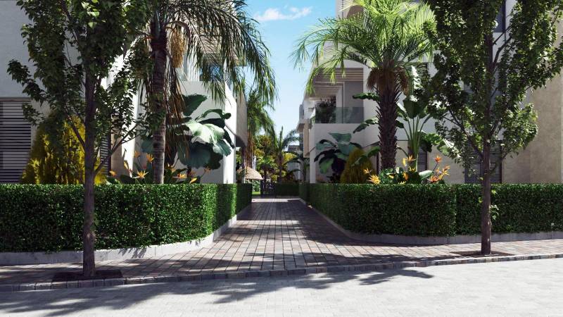 Greenery and sidewalks between buildings on Santa Rosalia Lake Street in Torre Pacheco.