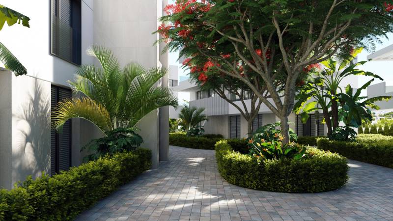 A beautiful outdoor area full of greenery and a walkway in the Santa Rosalia Lake area in Torre Pacheco near three-bedroom apartments.