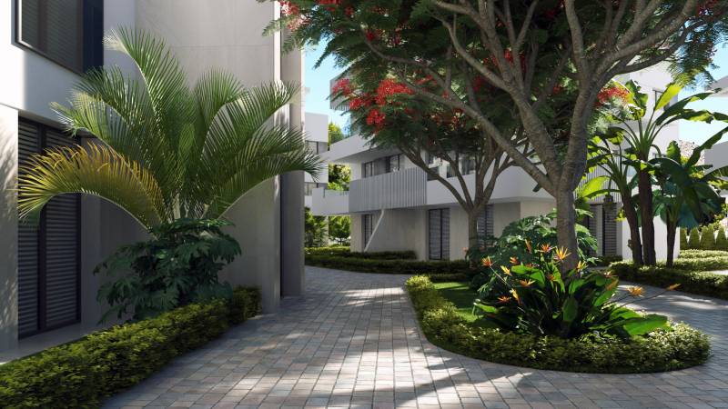 Santa Rosalia Lake Street in Torre Pacheco with palm trees near a 3-bedroom apartment.