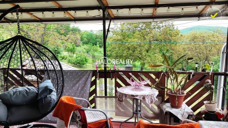 The terrace of the family house with a swing and plants offers a view of the greenery.