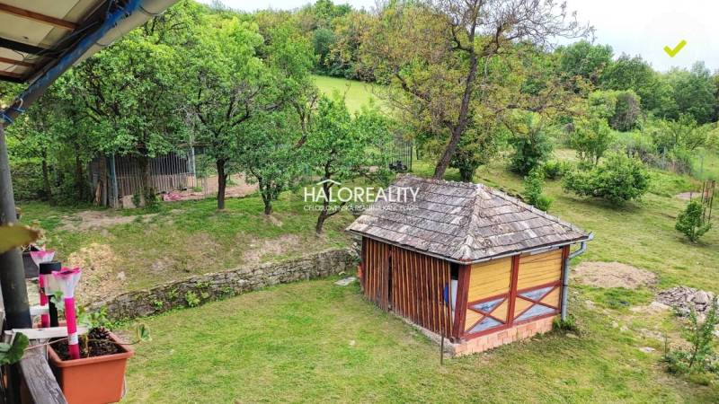A garden at a family house in České Brezové with a wooden structure and trees.