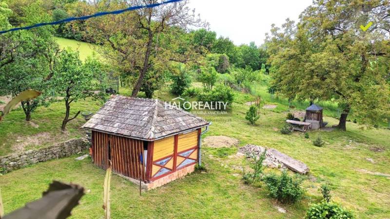 A garden in a family house in České Brezové with a garden shed and trees.