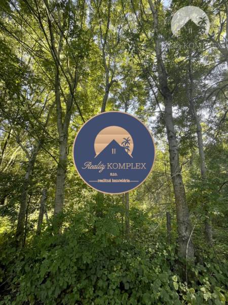 The forest in the area of Veľké Blahovo is surrounded by trees and lush vegetation.