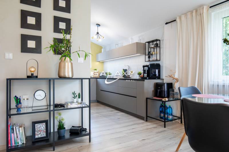 Interior of a family house with an open kitchen, modern furniture, and decorations.