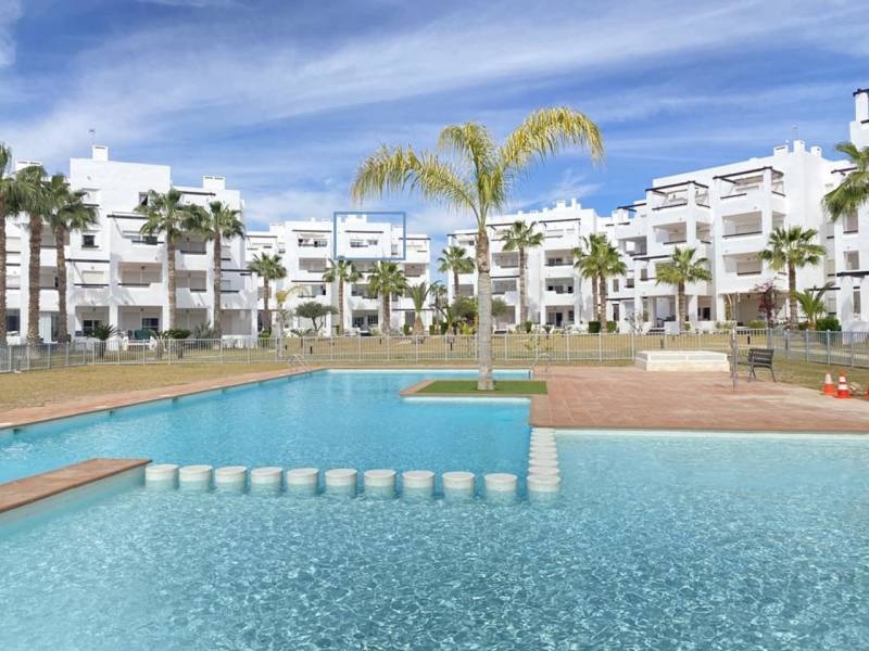 A swimming pool and palm tree-surrounded buildings in the residential area of Las Terrasas de la Torre Golf Resort.
