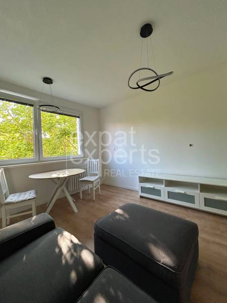 Living room in a two-room apartment with a sofa, table, and chairs by the window.
