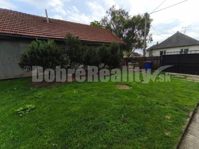 Garden of a family house in Neded with a lawn and trees on Neded Street.