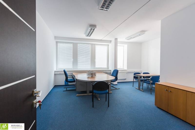 Offices with desks and chairs, blue carpet, white walls, natural light from windows.