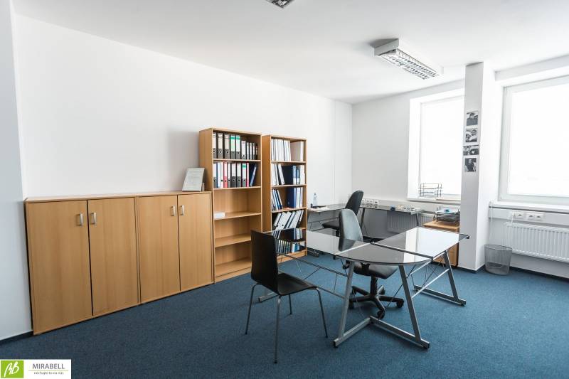 Workspace with furniture, shelves, and a desk in the office.