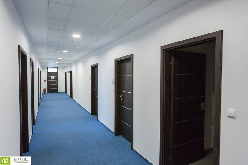 Office spaces with blue carpet and dark doors, ceiling lighting.