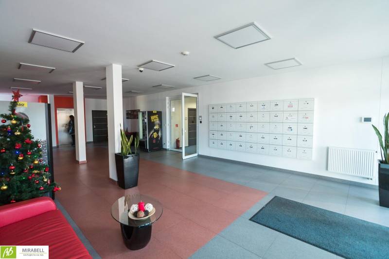 Offices with a lobby, a Christmas tree, mailboxes, and plants in vases.